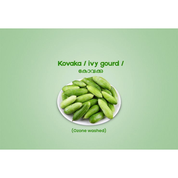 Kovaka / ivy gourd /കോവക്ക - 500g Pack ( Ozone Washed)